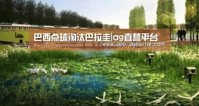 ag官网