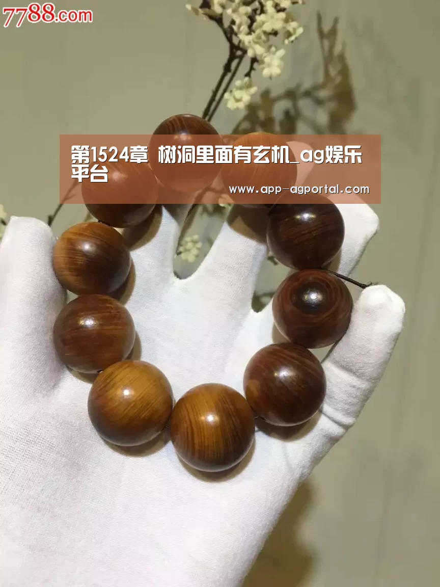 ag娱乐平台