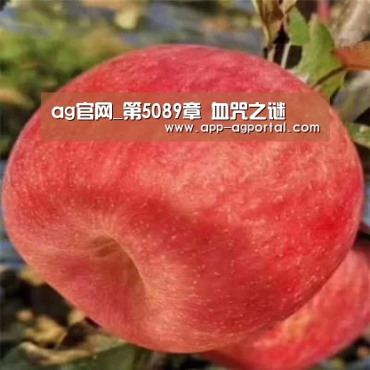 ag娱乐平台